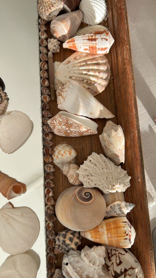 DIY schelpenspiegel maken met Dremel