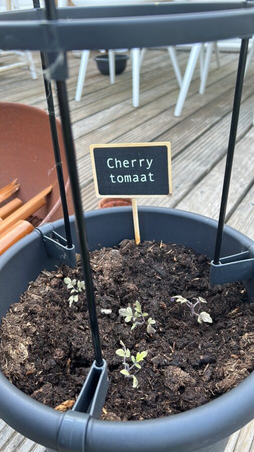 Een moestuin op pootjes