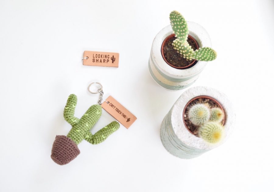 koffer traagheid Vuilnisbak Cactus sleutelhanger haken! - Happy Handmade living