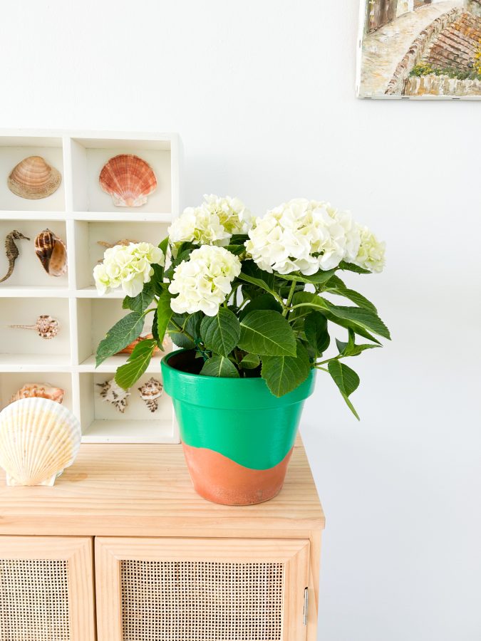 hortensia’s in de woonkamer